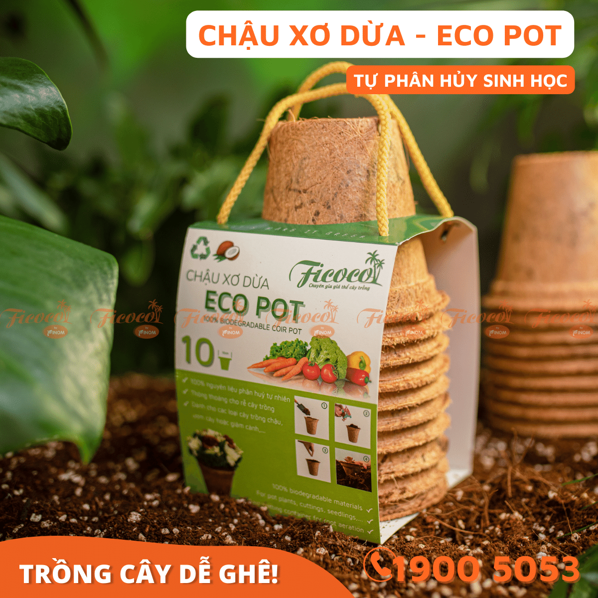 CHẬU XƠ DỪA ECO POT - 10 CHẬU